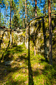 Wunderschöne Landschaft des Naturschutzgebiet Listorp in Söderköping, Schweden.