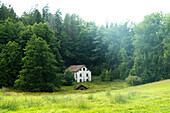 Ein von Bäumen umgebenes altes Haus auf einer Weide in Südschweden