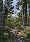  Hiking trail to the 1,895 m high Karwassersee in Lungau, Salzburg, Austria. 