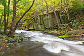  Bode, stream, Bodetal nature reserve, Saxony-Anhalt, Germany 