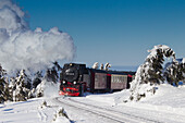 Brockenbahn, Harzer Schmalspurbahn, im Schnee, Winter, Brocken, Nationalpark Harz, Harz, Sachsen-Anhalt, Deutschland