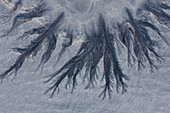  Structures in the sand, winter, Lofoten, Norway 