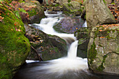 Bachlauf der Ilse, Nationalpark Harz, Sachsen-Anhalt, Deutschland