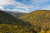  Ilsestein, view from Ilsestein into the Ilse valley, Harz National Park, Saxony-Anhalt, Germany 