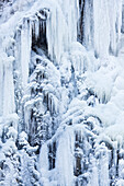  Radau waterfall, frozen waterfall, winter, Harz, Lower Saxony, Germany 