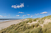  Dune landscape, Texel Island, Netherlands, Europe 