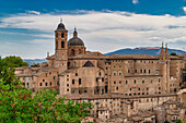 von der Festung Albornoz Blick auf Kathedrale Duomo di Santa Maria Assunta und Herzogspalast Palazzo Ducale, Urbino, Pesaro, Marken, Italien, Europa