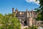 Blick auf Kathedrale Duomo diSanta Maria Assunta, Herzogspalast Palazzo Ducale und  historisches Zentrum, Urbino, Pesaro, Marken, Italien, Europa