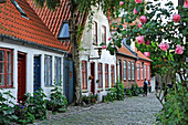 Typische kleine Reihenhäuser, Mollestien Lane, Zentrum von Aarhus, Halbinsel Jütland, Dänemark, Nordeuropa