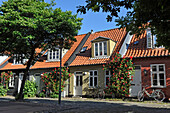 Typische kleine Reihenhäuser, Mollestien Lane, Zentrum von Aarhus, Halbinsel Jütland, Dänemark, Nordeuropa