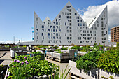 public O-Haven city garden in front of The Iceberg apartment building in the new quarter Aarhus Ø  constructed by the expansion of the harbour area, Aarhus, Jutland Peninsula, Denmark, Northern Europe