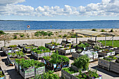 O-Haven-Stadtgarten vor dem Apartmentgebäude 'The Iceberg' am Strand im neuen Stadtteil Aarhus, Halbinsel Jütland, Dänemark, Nordeuropa