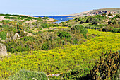 Cape Cavalleria on the North Coast of Menorca, Balearic Islands, Spain, Europe