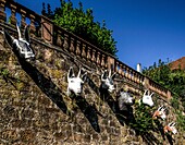 Grimm-Dich-Pfad Marburg, Der Wolf und die sieben Geislein, Marburg, Deutsche Märchenstraße, Hessen, Deutschland