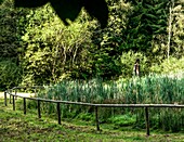 Frau Holle-Teich im Geo-Naturpark, Statue Frau Holle, Hoher Meißner, Hessen, Deutschland