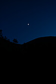 Silhouette of trees and branches against a clear, blue starry sky, creating a tranquil nighttime scene.