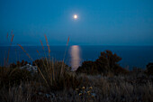 Moonlight reflecting on water during evening, creating a serene and densely blue scene.