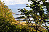 Landschaft in der Wulaia Bay, Insel Navarino, Feuerland, Patagonien, Chile, Südamerika