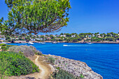  The bay of Porto Pedro, Mallorca, Spain 