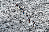 Alpinisten auf dem Sonnblick Kees Gletscher mit Gletscherspalten, Stubachtal, Nationalpark Hohe Tauern, Salzburg, Österreich