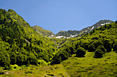 Gebirgslandschaft der Pyrenäen bei Laruns,  Pyrénées-Atlantiques, Frankreich, Europa