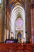  Interior of the cathedral with rosette and royal gallery in Reims in the wine-growing region of Champagne in the Marne department in the Grande Est region of France 