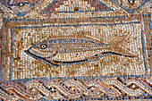 mosaic in the Complex of Eustolios at Kourion,Cyprus,Eastern Mediterranean Sea