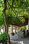 terrrace of restaurant under arbour,Panayia,Cyprus,Eastern Mediterranean Sea