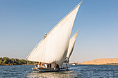 Dahabeah Schiff unter Segeln, Passagier-Flussschiff der Lazuli-Flotte, auf dem Nil bei Sonnenuntergang, bei Assuan, Ägypten, Nordostafrika