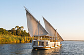 Dahabeah Schiff unter Segeln, Passagier-Flussschiff der Lazuli-Flotte, auf dem Nil bei Sonnenuntergang, bei Assuan, Ägypten, Nordostafrika