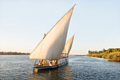 Dahabeah Schiff unter Segeln, Passagier-Flussschiff der Lazuli-Flotte, auf dem Nil bei Sonnenuntergang, bei Assuan, Ägypten, Nordostafrika