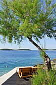 Liegestühle am Strand unter Tamarisken, in der Nähe der Stadt Hvar, Insel Hvar, Kroatien, Dalmatien, Kroatien, Südosteuropa