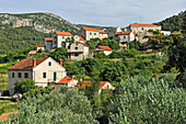 Häuser im Weinberg und Dorf Pitve, Bezirk Jelsa, Insel Hvar, Dalmatien, Kroatien, Südosteuropa