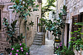 Enge Gasse der Altstadt von Korcula, Insel Korcula, bei Dubrovnik, Dalmatien, Kroatien, Südosteuropa