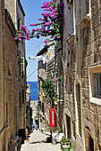 Ismaelli Straße, Enge Gasse in der Altstadt von Korcula, Insel Korcula, bei Dubrovnik, Dalmatien, Kroatien, Südosteuropa