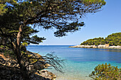 Bucht der kleinen Insel Mrcara im Westen der Insel Lastovo, bei Dubrovnik, Kroatien, Dalmatien, Südosteuropa