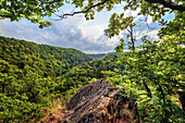 Tal, Berge, Wald, Mägdetrappe, Mägdesprung, Harz, Sachsen-Anhalt, Deutschland, Europa