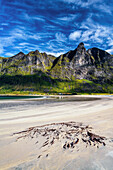  Summer, beach, sandy beach, mountains, bay, fjord, Ersfjord, Senja, Skaland, Norway, Europe 