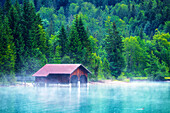 Bootshaus, Ufer, Regen, Nebel, Walchensee, Berge, Alpen, Bayern, Deutschland, Europa