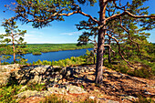  river, lake, view, forest, forests, tree, wilderness, Sweden, Europe 