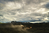  horses, highlands, desert, volcanic landscape, barren, mountains, Landmannalaugar, Iceland, Europe 