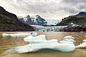  glacier, glacial lake, ice, iceberg, volcanic landscape, SvinafellsjÃ¶kull, mountains, Iceland, Europe 