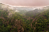 Wald, Tal, Schlucht, Bodetal, Berge, Thale, Harz, Sachsen-Anhalt, Deutschland, Europa