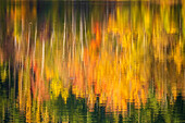  lake, reflection, trees, abstract, autumn, foliage, forest, Leipzig, Saxony, Germany, Europe 