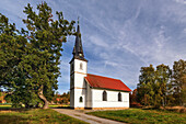  Church, Wooden Church, Smallest Wooden Church in Germany, Elend, Harz, Saxony-Anhalt, Germany, Europe 