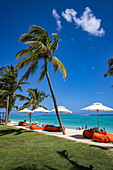 Kokospalmen und Sonnenschirme am Strand des Dinarobin Beachcomber Golf Resort & Spa, Le Morne, Rivière Noire, Insel Mauritius, Indischer Ozean