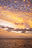 Silhouette eines Segelboots und rosa Wolken bei Sonnenuntergang über dem Meer, Trou aux Biches, Pamplemousses, Insel Mauritius, Indischer Ozean