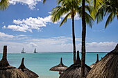  Thatched umbrellas on the beach with coconut trees at Royal Palms Beachcomber Luxury (Beachcomber Resorts) and catamaran sailboats in the distance, Grand Baie, Rivière du Rempart, Mauritius, Indian Ocean 