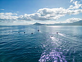 Ausflugsboote im Meer bei einer Wal- und Delfinbeobachtungstour vor Le Morne, Rivière Noire, Insel Mauritius, Indischer Ozean