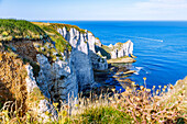 Kreidefelsen mit Felsentor La Falasie d'Aumont in Etretat (Étretat) an der Alabasterküste (Côte d'Albâtre, Cote d'Albatre) im Département Seine-Maritime in der Region Normandie in Frankreich